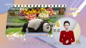 国产精品网站一区二区三区
